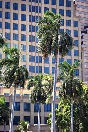 2026年最新ガイド：別府で理想のアパートを見つけるための完全戦略